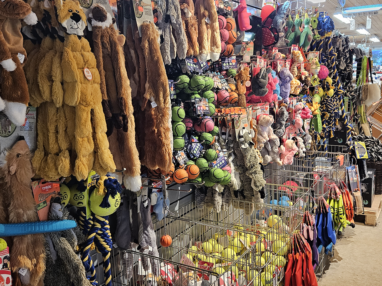 Masse Hunde og katteleker!